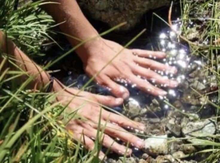 constipation69's tweet photo. I think too much about food ,need to reconnect with nature idk https://t.co/fGhStLCneR