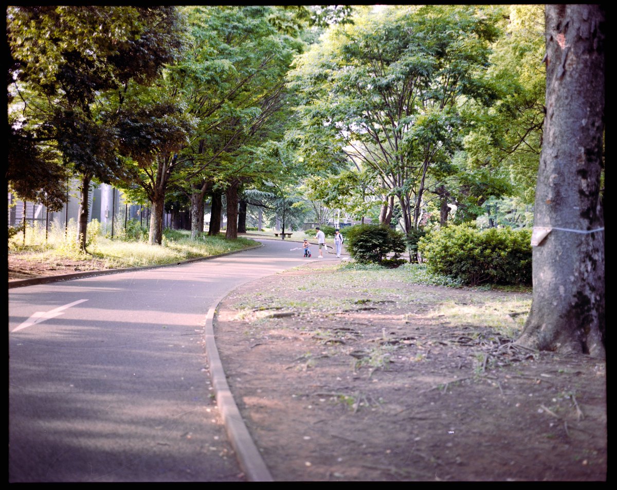 shida_ito's tweet photo. これがこう！！

#KodakPortra160
#NegativeLabPro https://t.co/icvncEyEYm