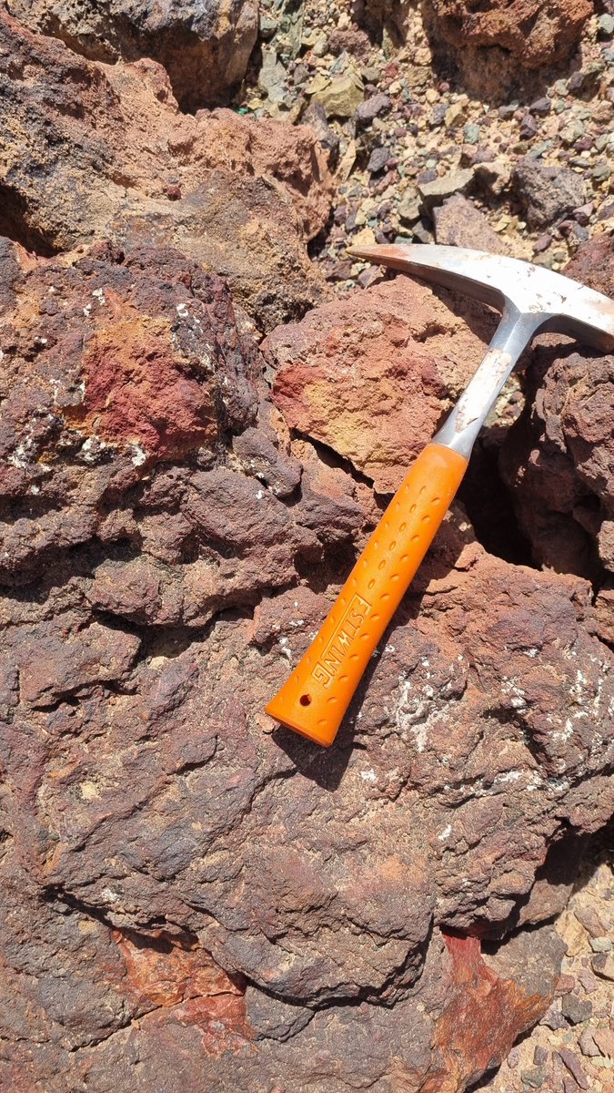 ANS Exploration tweet media