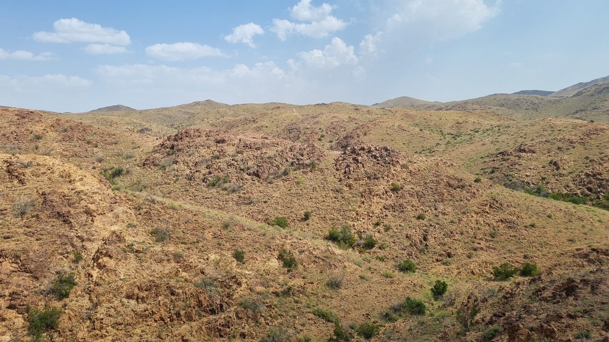 ANS Exploration tweet media