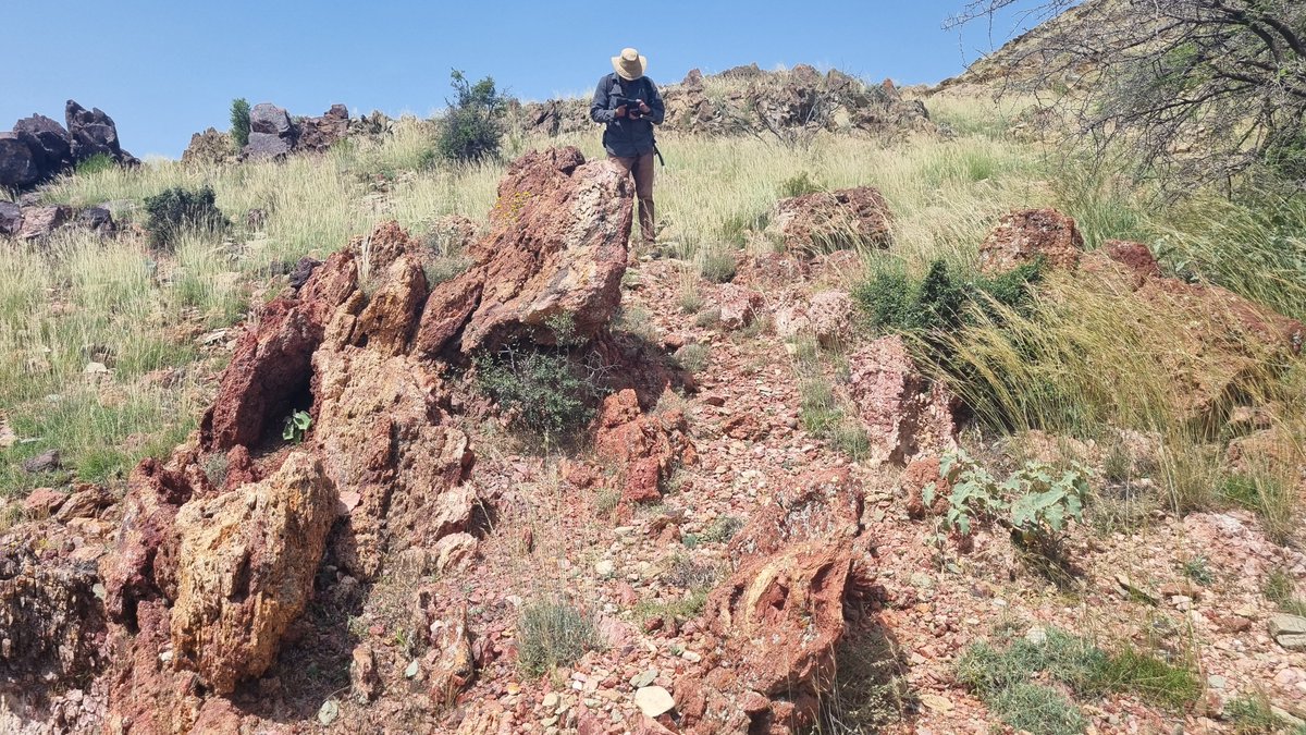 ANS Exploration tweet media