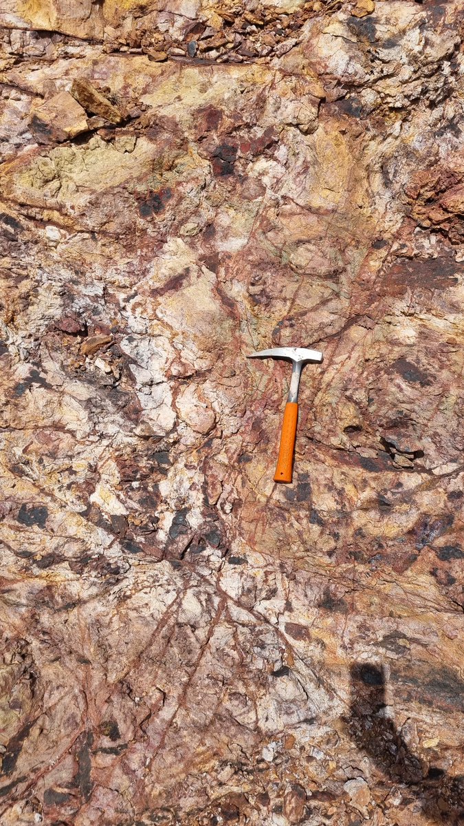 ANS Exploration tweet media