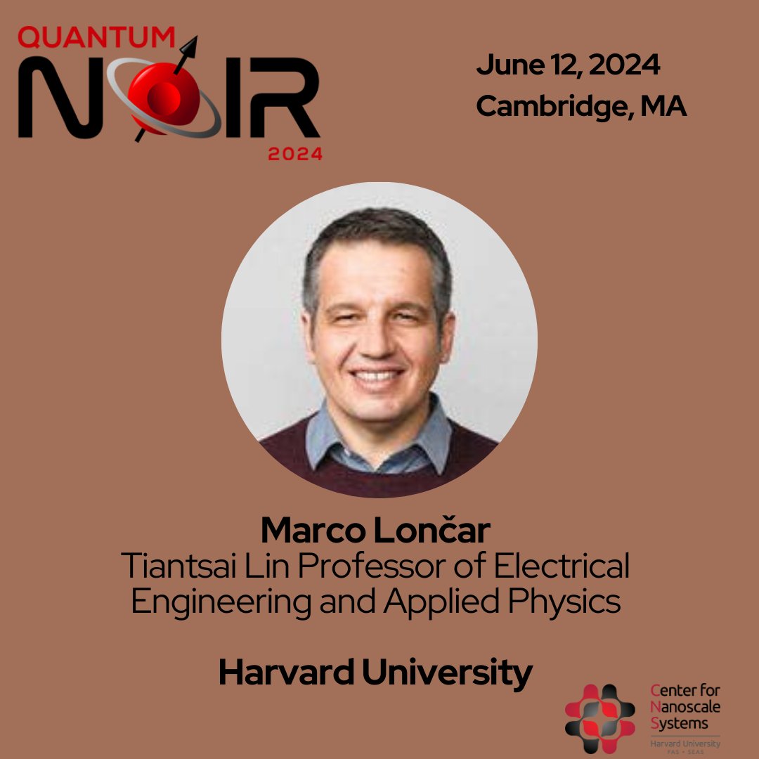 Quantum Noir tweet media