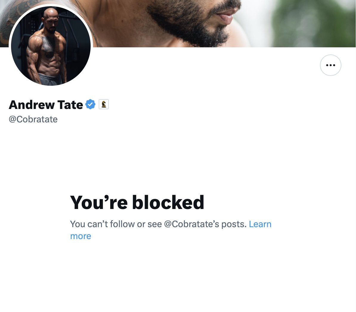 Bubblemaps tweet media