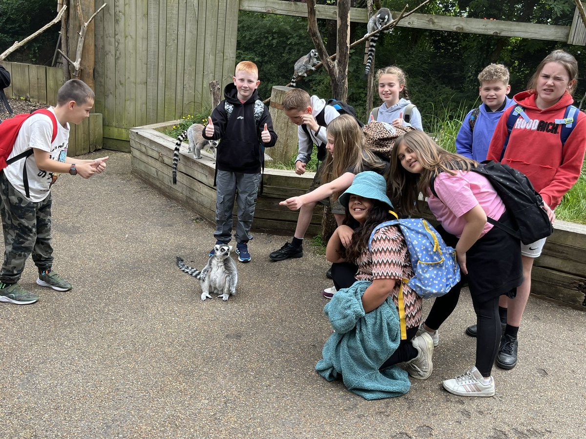 OWPScobras tweet media