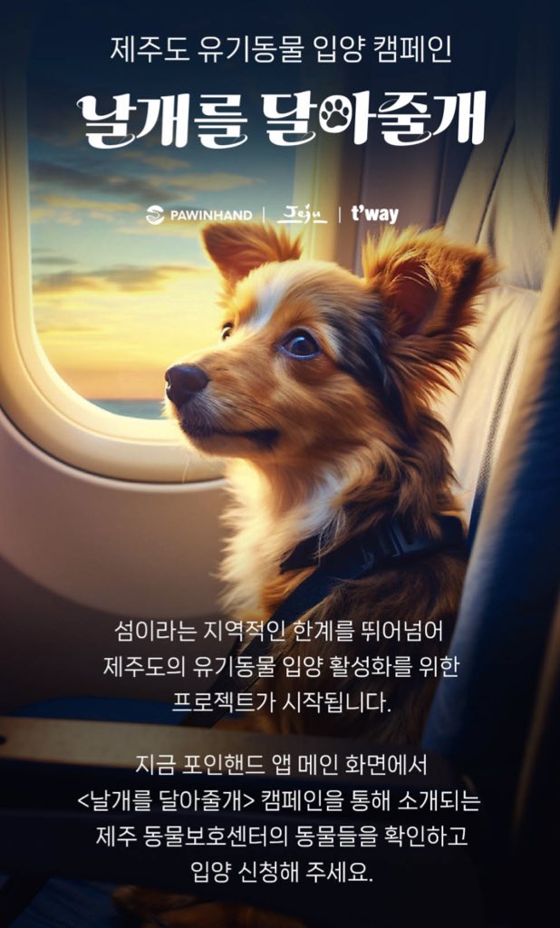 wlsltkfkdgo's tweet photo. 얘들아(0명) 포인핸드 앱 드가봤니
포인핸드 앱에서 제주동물보호센터 동물 입양신청하면 애기 뱅기값 면제해 준댄다😭 비상이다 https://t.co/8qXGn3pOvL