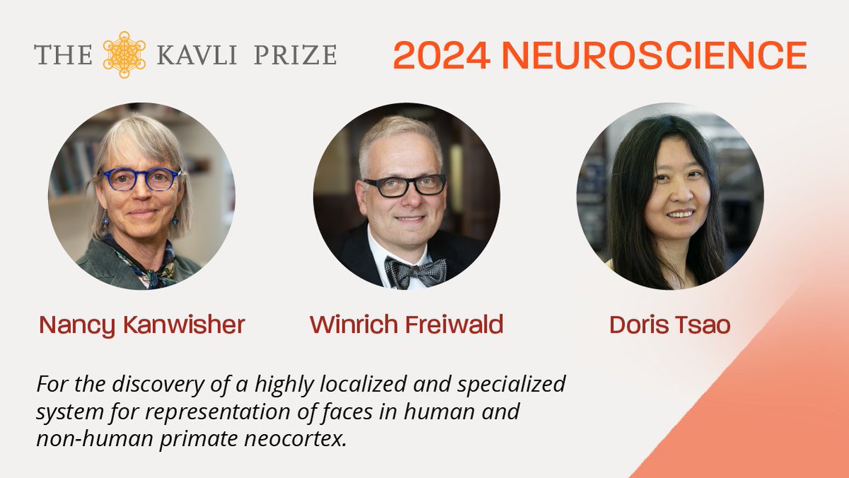 HHMI (@hhminews) on Twitter photo Congratulations to HHMI Investigator <a href="/doristsao/">Doris Tsao</a>, Nancy Kanwisher, and Winrich Freiwald who have been awarded the 2024 <a href="/KavliPrize/">The Kavli Prize</a> in Neuroscience! They are being honored for their discovery of a specialized system within the brain to recognize faces: hhmi.news/3VobRty Congratulations to HHMI Investigator <a href="/doristsao/">Doris Tsao</a>, Nancy Kanwisher, and Winrich Freiwald who have been awarded the 2024 <a href="/KavliPrize/">The Kavli Prize</a> in Neuroscience! They are being honored for their discovery of a specialized system within the brain to recognize faces: hhmi.news/3VobRty