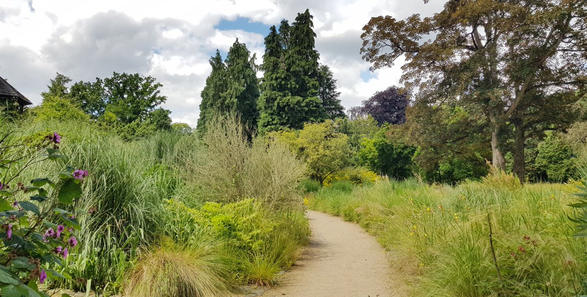 Im Frankfurter Palmengarten 🌤🌹🌿