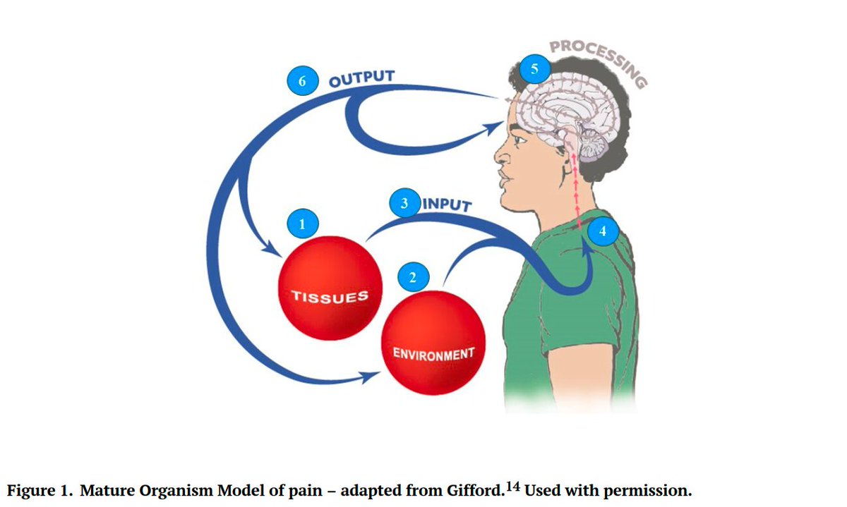 Physio Meets Science tweet media