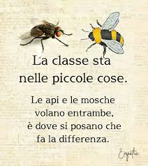 AlienoGrigio17's tweet photo. Lei caro @Antonio_Tajani è la #mosca, @berlusconi è l'#ape, #mosche ed #api hanno tutte e due le #ali e #volano sia le #mosche che le #api, ma la differenza sostanziale sa dove sta? https://t.co/SdJ6lPtFLX