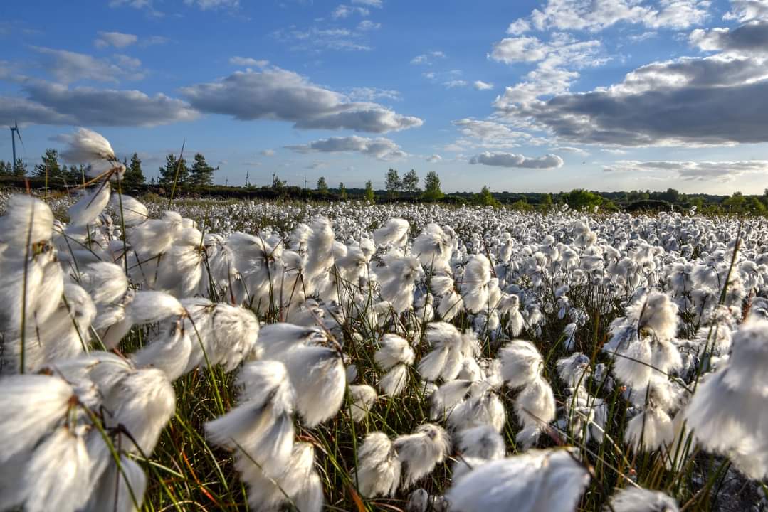 Kenneth Gallery Smyth tweet media