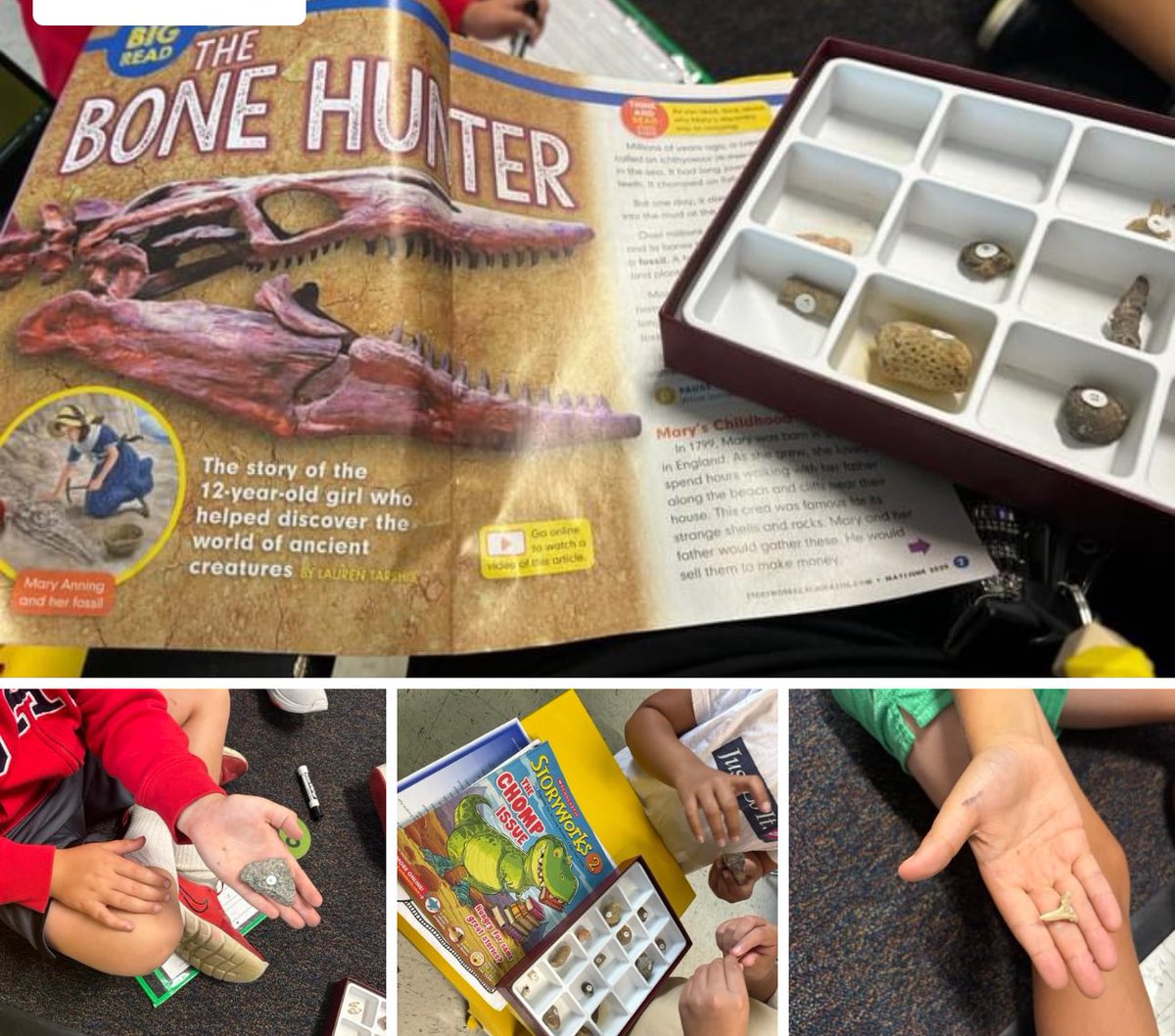 Mrs. Noyd'sNest (@noydsnest) on Twitter photo We loved reading about fossils in our Storyworks Jr Magazine and then hands on exploring of real fossils! <a href="/ScholasticEdu/">Scholastic Teachers</a> <a href="/laurenTarshis/">Lauren Tarshis</a> <a href="/CoolSpring_ES/">Cool Spring Elem.</a> We loved reading about fossils in our Storyworks Jr Magazine and then hands on exploring of real fossils! <a href="/ScholasticEdu/">Scholastic Teachers</a> <a href="/laurenTarshis/">Lauren Tarshis</a> <a href="/CoolSpring_ES/">Cool Spring Elem.</a>