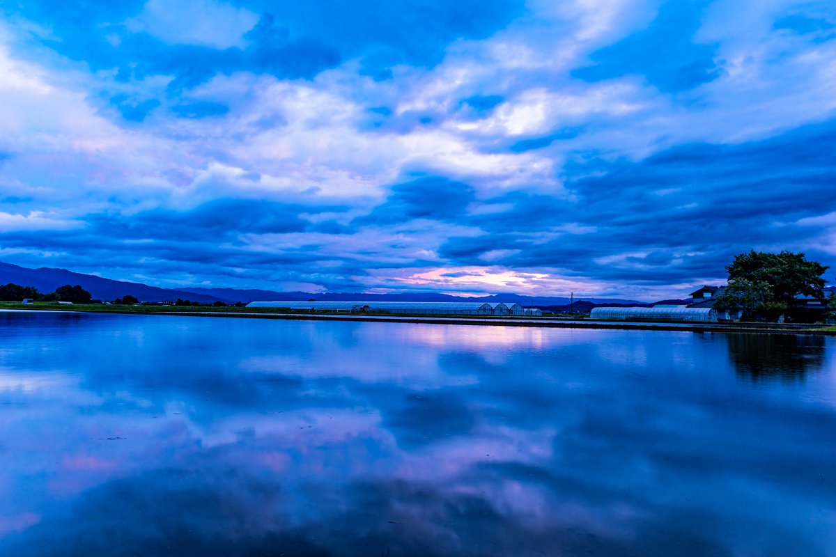 Photo_Walk_Talk's tweet photo. 夕日って一瞬ですよね
田んぼ水盤も今だけ
この時期は贅沢な時期です https://t.co/C80p42i37k