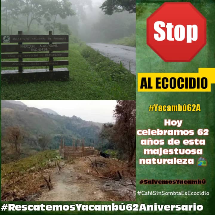 GuardmontAEB's tweet photo. @TierraVivaVzla @UNESCO_es También el PN Yacambú de #Lara cumple 62 años hoy y ha sido deforestado en 40% de su extensión aproximadamente #RescatemosYacambú62Años https://t.co/XYKamIgPlc