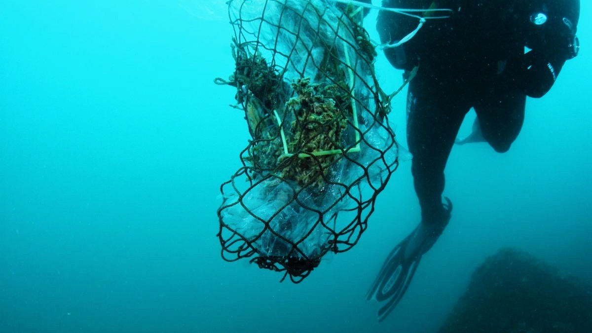 Nueva Pescanova (@pescanovacorp) on Twitter photo Volvemos a apoyar la campaña para la limpieza de fondos marinos impulsada por <a href="/oceanidas_/">Oceánidas</a> . Este año los voluntarios retiraron casi 6.500 kg de residuos del mar y, como parte de nuestro compromiso con la causa, donaremos la cantidad equivalente en productos del mar a <a href="/fesbal_org/">Federación Española de Bancos de Alimentos-FESBAL</a> Volvemos a apoyar la campaña para la limpieza de fondos marinos impulsada por <a href="/oceanidas_/">Oceánidas</a> . Este año los voluntarios retiraron casi 6.500 kg de residuos del mar y, como parte de nuestro compromiso con la causa, donaremos la cantidad equivalente en productos del mar a <a href="/fesbal_org/">Federación Española de Bancos de Alimentos-FESBAL</a>