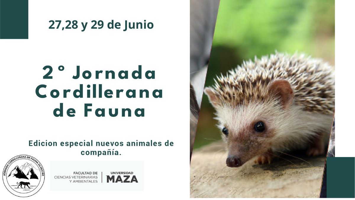 UMazaOficial's tweet photo. 2º Jornada Cordillerana de Fauna🦅

📅27, 28 y 29 de junio
📍Universidad Maza
📌El 29 de junio se realizaran talleres

Consultas e inscripciones 👉 jornadacordilleranafauna@gmail.com https://t.co/4RFPC5ABt9