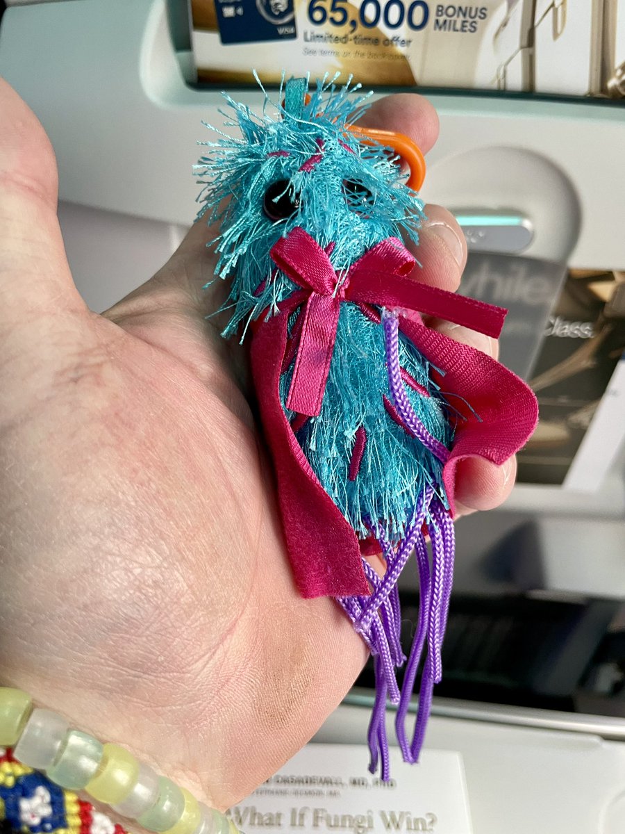 markowenmartin's tweet photo. @swirlgirl31415 and yours truly off to Atlanta and #ASMicrobe Please note #MicrobialMascots and alarming reading by @ACasadevall1 @univpugetsound @ASMicrobiology https://t.co/zEFZRnz0xC