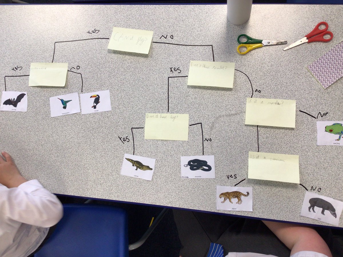 HighBankJIN_Y5's tweet photo. We have created some classification keys to help classify animals that can be found in the rainforests and other environments. We created one as a class before we worked in pairs https://t.co/zW5mp9XLwj