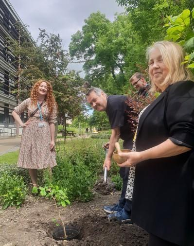 bdpositivepress's tweet photo. A ginkgo sapling from a Hiroshima survivor tree was planted at the University of Bradford to mark 50 years of Peace Studies. Symbolizing resilience and hope for a nuclear-free world, it features a plaque and QR code linking to its mother tree in Hiroshima.
https://t.co/cnGaF6pEf1 https://t.co/ol2JBQo4Nx