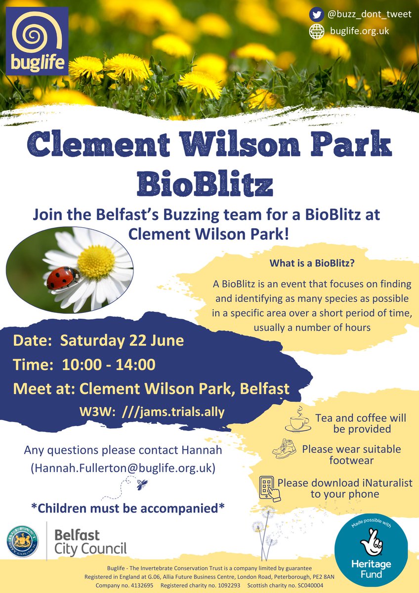 Buzz_dont_tweet's tweet photo. Join the #BuglifeNI #BelfastsBuzzing team for a #BioBlitz at Clement Wilson Park

📅 Saturday 22 June
🕦10:00-14:00
📌Clement Wilson Park, #Belfast

A great opportunity to explore your local green space &amp; learn more about the creatures that call it home with Buglife!👇 https://t.co/hrKkUsVBer