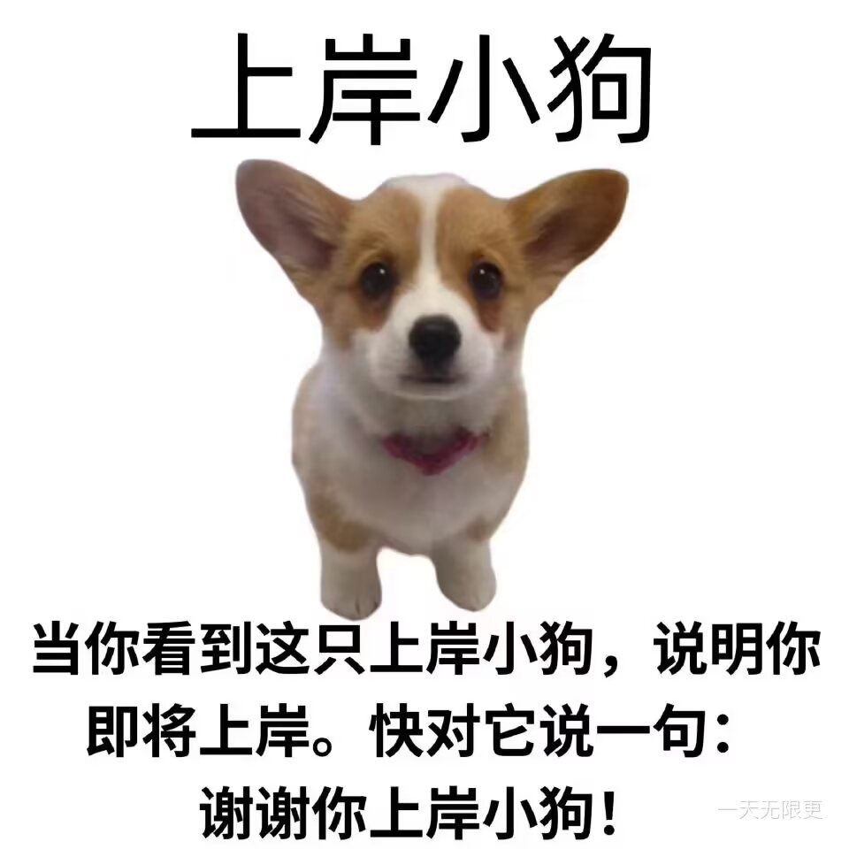 wangfu8888's tweet photo. @xiaoyousiguoyi 这狗我专门去找的 你不光要谢谢狗也要谢谢我 https://t.co/UDOjiCqQlm