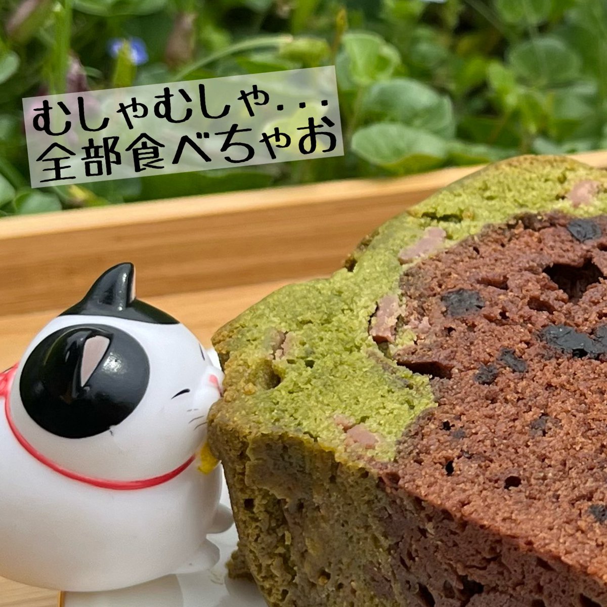 higemanjyu_me's tweet photo. #Minecraft の土ブロックみたいなパウンドケーキ!
🐱「むしゃむしゃ...全部食べちゃお」
🐱---ハッ💥---🟩
🟩「ネコだ!怖い💦」
🐱「あらら~ #クリーパー はネコ苦手にゃのね」
#マイクラ
#ひげまんじゅう
#アミュキャラぬい撮り
#オモ写 https://t.co/cPVWz0yp4K