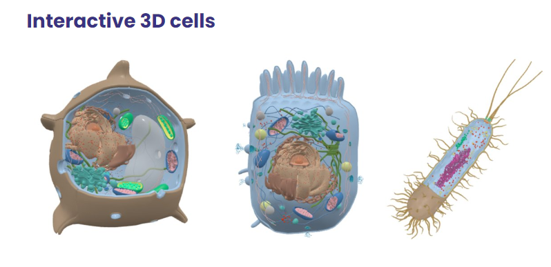 Biology at The Open University tweet media