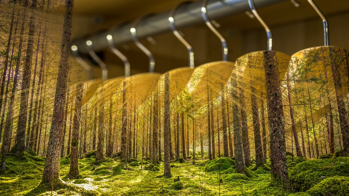 CO₂ Improve tweet media