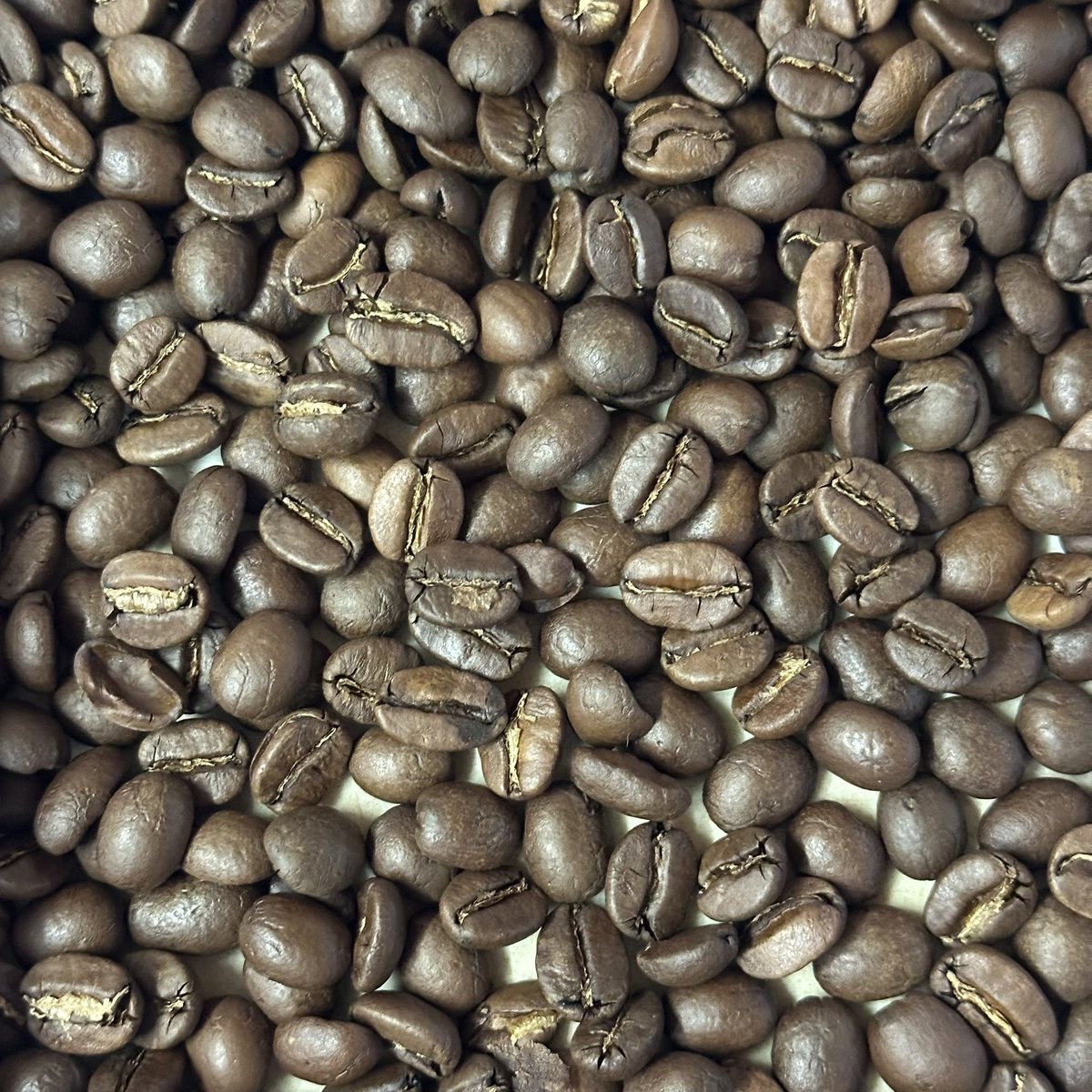 Today’s roasting results.  India Mysore Nuggets - Chikmagalur Region, washed.  Gonna be tasty this weekend after a couple day rest!