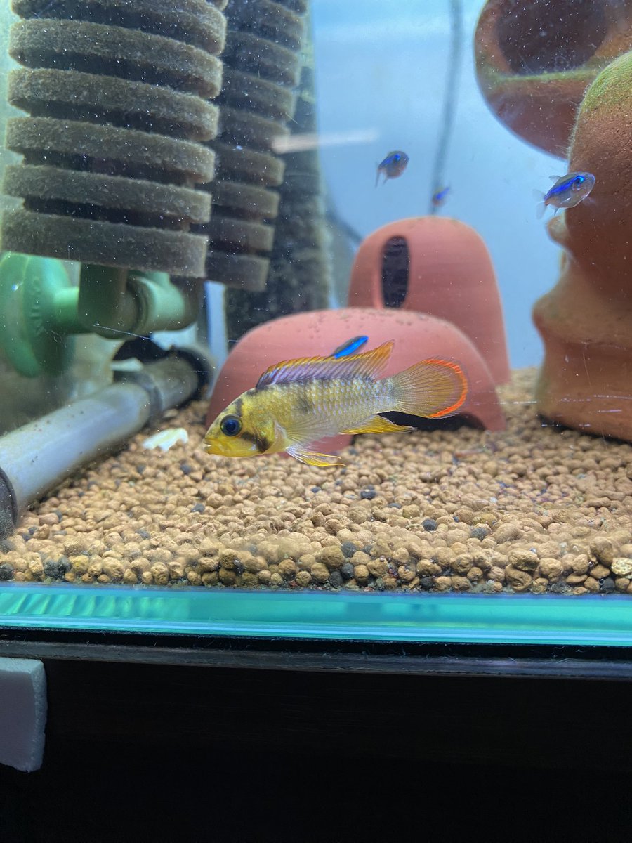 レケーナ産 ナイスニー
初めてのワイルドです！！