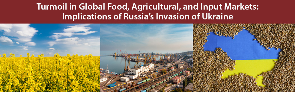 VTAgTradeCenter's tweet photo. Did you miss this paper? Impacts of the Russian-Ukraine Conflict on Global Agriculture Commodity Prices, Trade, and Cropland Reallocation. Check it out here: https://t.co/ijc5KzJelG By Xi He, Miguel Carriquiry, Amani Elobeid, Dermot Hayes, and Wendong Zhang https://t.co/xP34f7H4ai