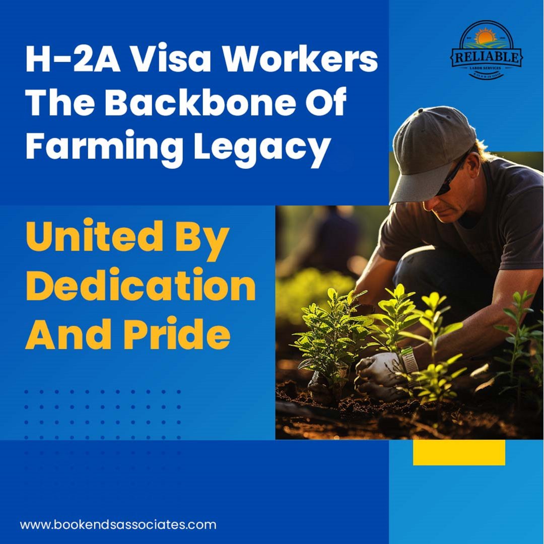 BookendsAss's tweet photo. Rooted in Tradition, Grounded in Excellence. Let H-2A Visa Workers Be the Backbone of Your Farming Legacy
Tending to Your Fields with Precision and Pride
Visit https://t.co/ziZW9S7TOQ for further details

#h2avisaprogram #labor #labourdoorstep #workers #farmworkers #skilledworker https://t.co/q5iRPx4ytY