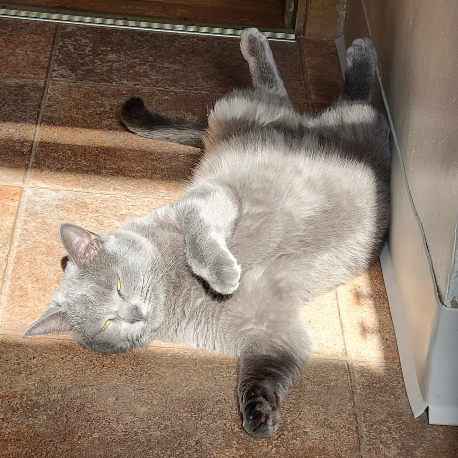 😎🌞