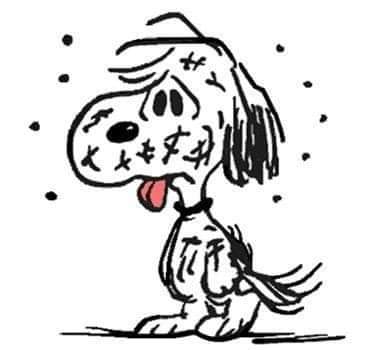 Valeriatulip's tweet photo. Como va pintando el año... https://t.co/66nNEZm4f4
