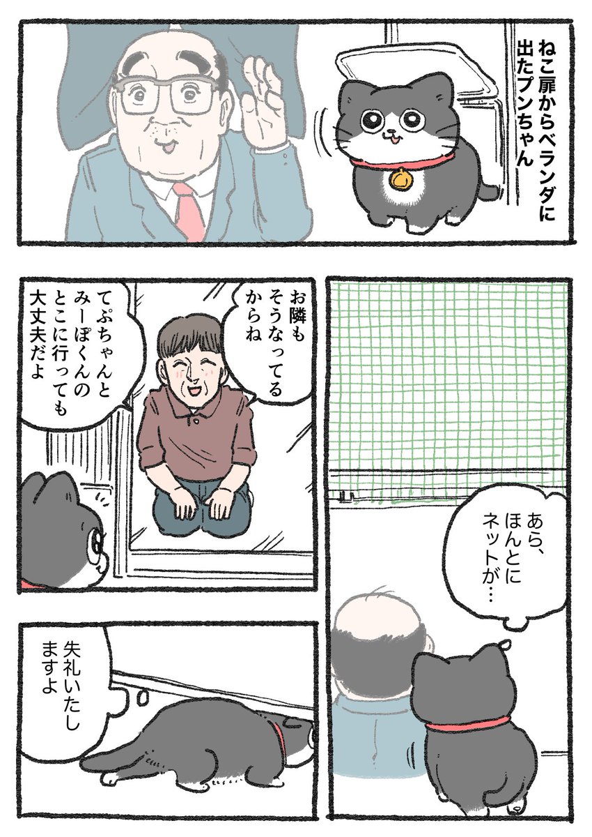 ねこおじ様 ねこに転生したおじさん。その481