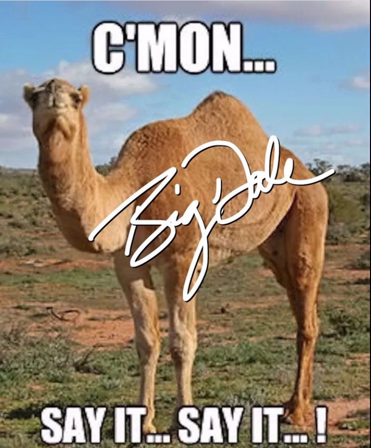 Dale Bergeron (@bergeron_dale) on Twitter photo 