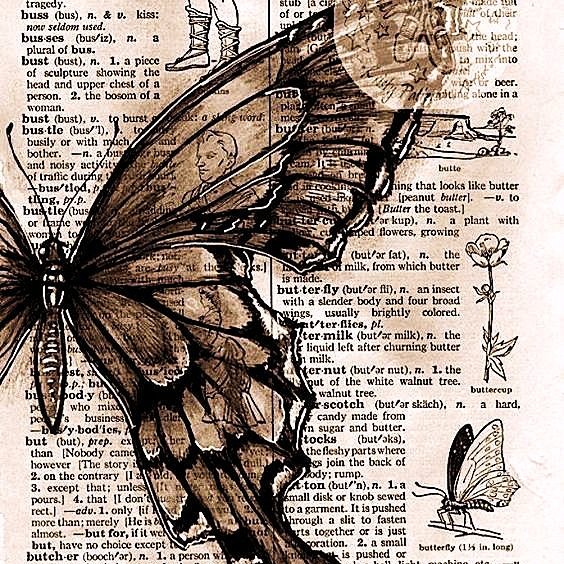 ͏ ͏ ͏ ͏ ͏ ͏ ͏
 ͏ ͏ ͏ ͏ ͏ ͏ ͏
               JOURDAiNE LICIADES .. !?
               any pronouns, legal age.⏳
 ͏ ͏ ͏ ͏ ͏ ͏ ͏
             ͏ ͏ ͏ ͏ ͏ ͏ ͏