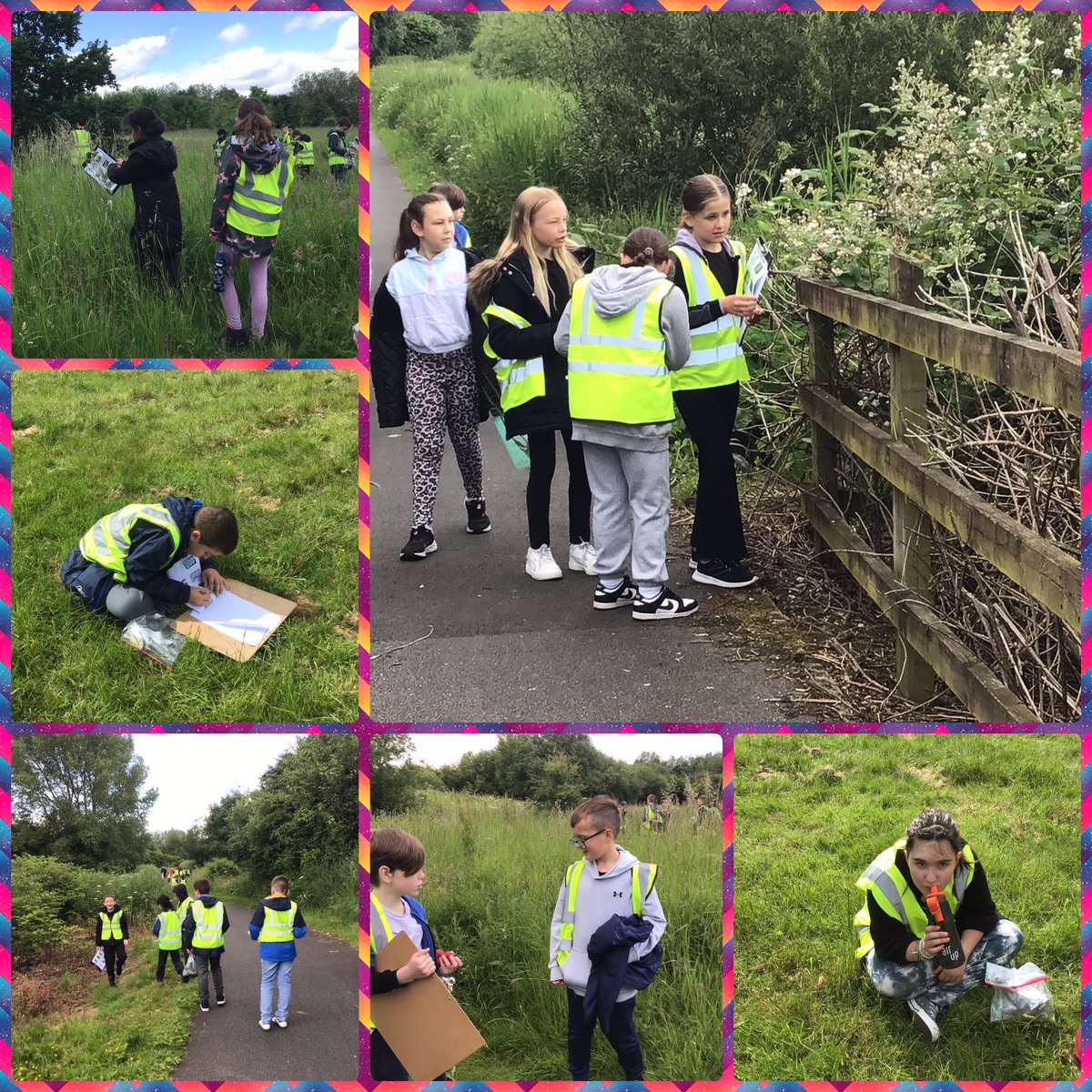 Y5Oaky's tweet photo. Today’s wellbeing activity was a mindful nature walk around The Twiggeries and Paddington Meadows (your children should definitely sleep tonight). #Oakywellbeing https://t.co/9GSrPT2Vyt