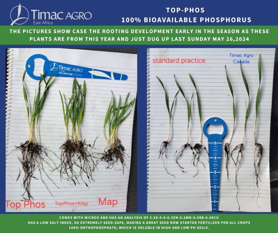 <a href="/MThomasTimacAg/">Madeleine Thomas</a>