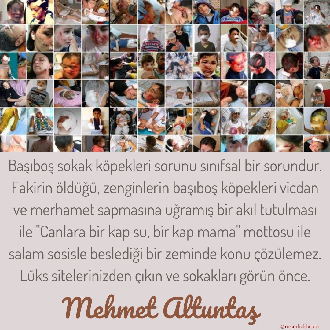 ulusoy33069's tweet photo. @ersoydede ahlaksız kanı bozuk,şu cocuklar için bir tane yorumun varmi https://t.co/HLybg5KWah