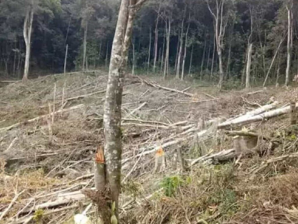 GuardmontAEB's tweet photo. #RescatemosYacambú62Aniversario #12Jun #LaraNoProduceCarbón en #Venezuela hay un silencio institucional abrumador ante el sin fin de ecocidios cometidos en todo el territorio nacional https://t.co/FQUDTPNsKJ