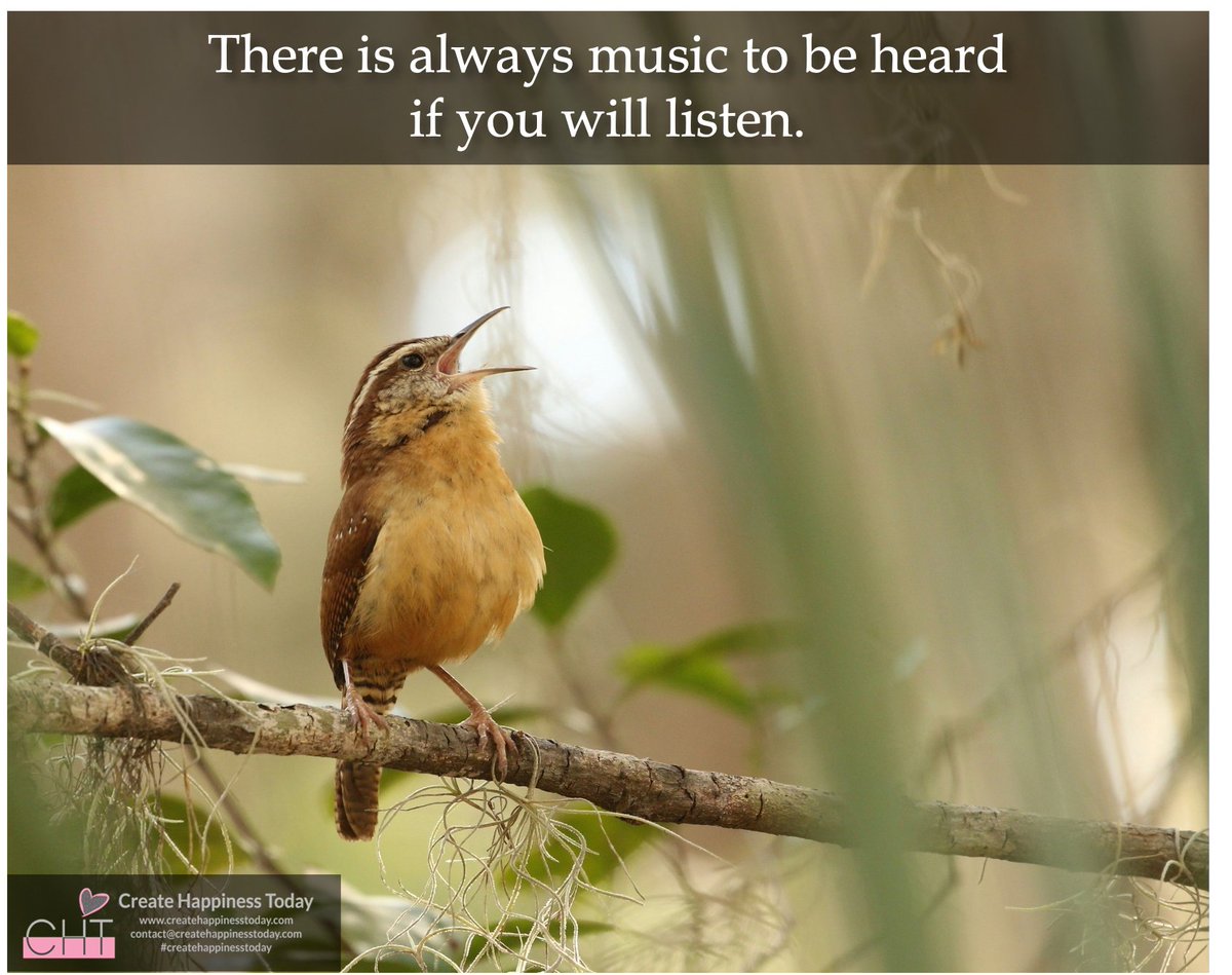 CHT_Tweets's tweet photo. ~There is always music to be heard if you will listen.~

#createhappinesstoday #cht #behappyagain #powerofpositivity #postivethinking #livelovelaugh #livewell #lovedeeply #laughoften https://t.co/4r1wkizjUb