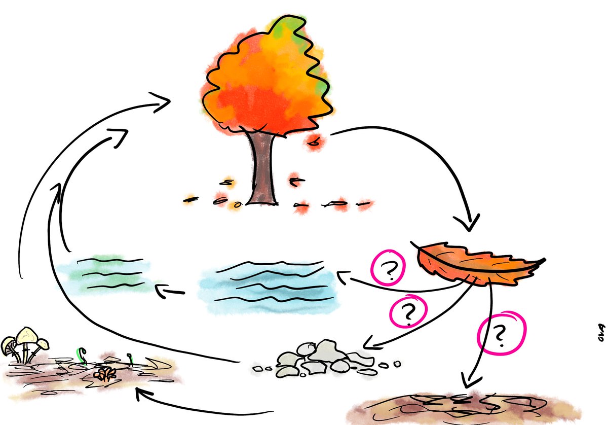 Journal of Geophysical Research: Biogeosciences (@jgrbiogeo) on Twitter photo ๐ What Leaves Leave When Leaves Leave Trees? ๐ค
While this may sound like the title of a Dr. Seuss book, itโs one of our new special collections now accepting submissions!
Learn more: lite.spr.ly/6005By4F
๐จ: @Squidfan
<a href="/theAGU/">AGU (American Geophysical Union)</a> <a href="/wileyearthspace/">Wiley Earth and Space Science</a> #AGUPubs #SciArt ๐ What Leaves Leave When Leaves Leave Trees? ๐ค
While this may sound like the title of a Dr. Seuss book, itโs one of our new special collections now accepting submissions!
Learn more: lite.spr.ly/6005By4F
๐จ: @Squidfan
<a href="/theAGU/">AGU (American Geophysical Union)</a> <a href="/wileyearthspace/">Wiley Earth and Space Science</a> #AGUPubs #SciArt