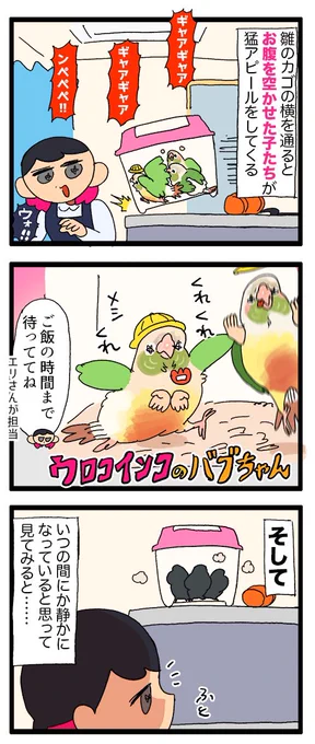 挿餌をもらってお腹がパンパンになってるインコの雛、良ぉ〜〜〜🐣

1148 #えるポピの絵日記かくところ 