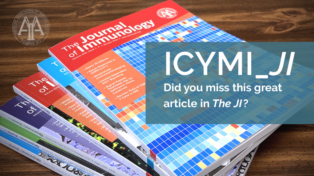 J_Immunol's tweet photo. #DYK The JI’s Top Reads are #FreetoRead #ScienceHighlights aimed to help you stay current with the latest in the field. #JI_TopRead #ReadtheJI ➡️ https://t.co/jPA1JhfbG1 https://t.co/d1sLBOrJFR