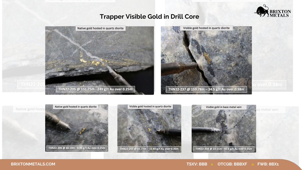 brixtonmetals's tweet photo. 📷 2021-2023 Drilling at the Trapper Target reveals visible gold!
$BBB $BBBXF #Gold #VisibleGold #ThornProject #Mining #BC https://t.co/2mPWr0itWC