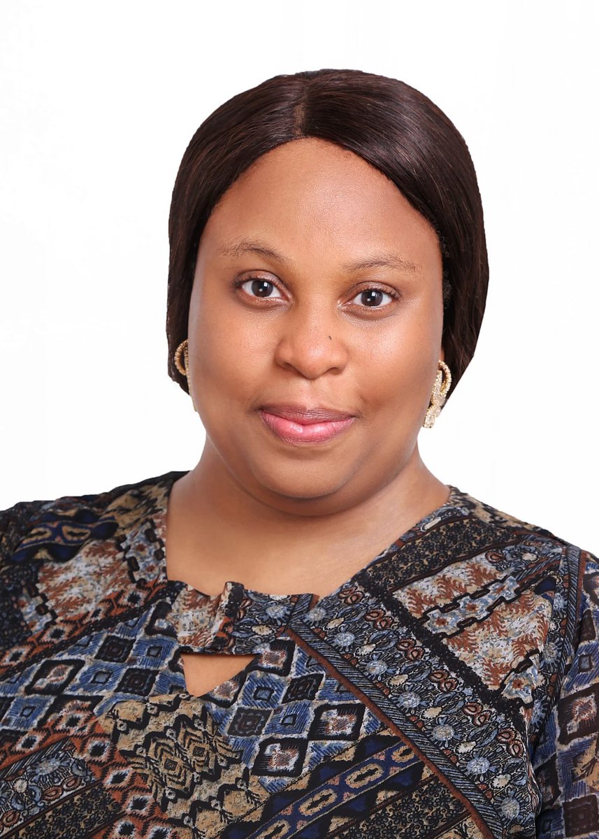 President Bola Tinubu appoints Maduekwe as Climate Change Council DG | Southwest First Alert Magazine