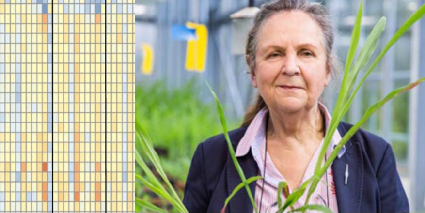 Nachgefragt: Prof. Dr. Regine Kahmann im Interview
biospektrum.de/artikel/nachge…

Bild: © Virginia Geisel