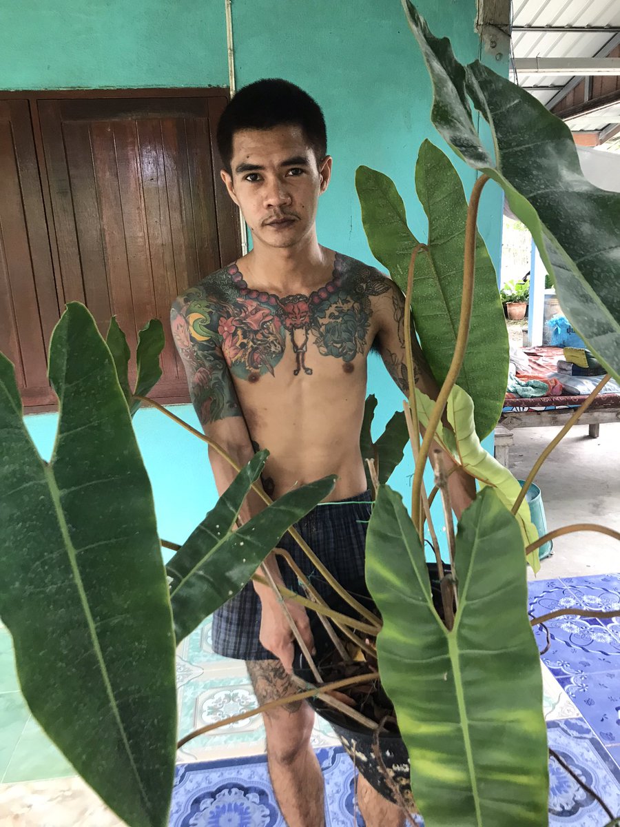 ลืมกันรึยังครับ