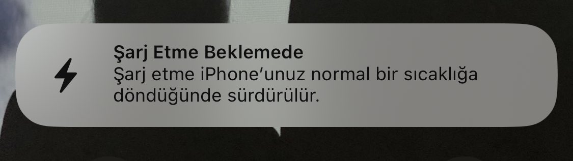 cancanasik's tweet photo. yaprak kıpırdamıyor https://t.co/Nnwe67rOgg